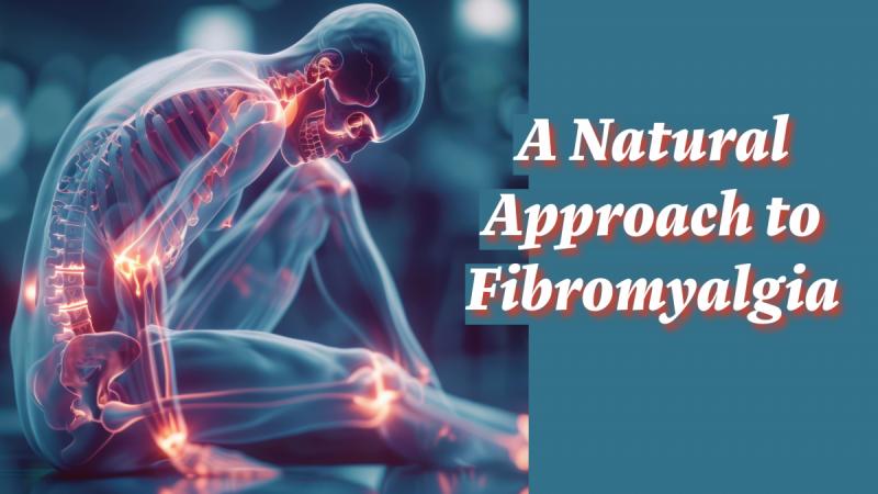 A Natural Approach to Fibromyalgia: Nature's Answers to Fibromyalgia and Related Modern Maladies